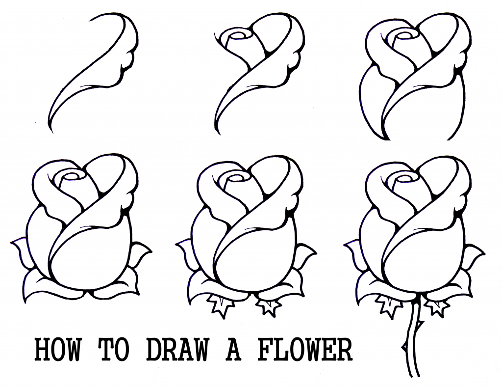 1024x788 How To Draw A Rose Step By Step For Kids 1000 Images About Flower