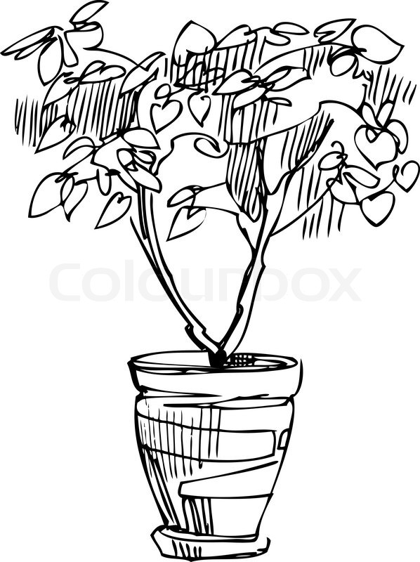 598x800 Sketch Room Plant Flower In A Pot Stock Vector Colourbox
