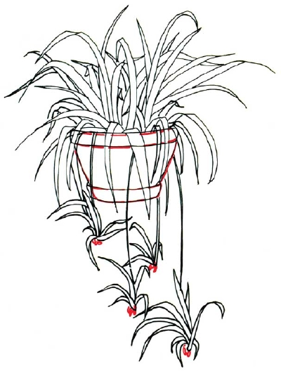 400x528 Drawn Pot Plant Sketch