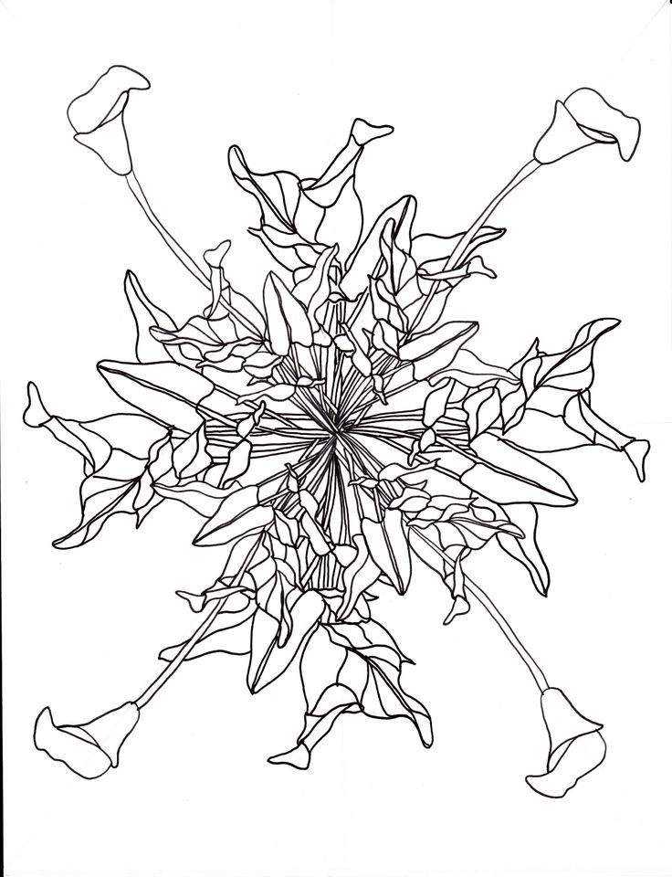 Flower Power Drawing