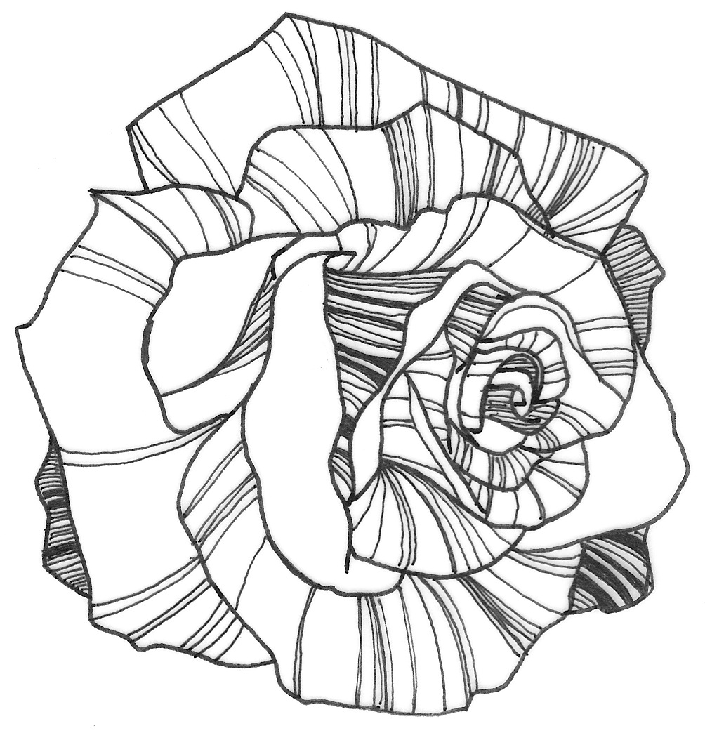 1004x1044 Nicole Illustration Flower Power Drawing