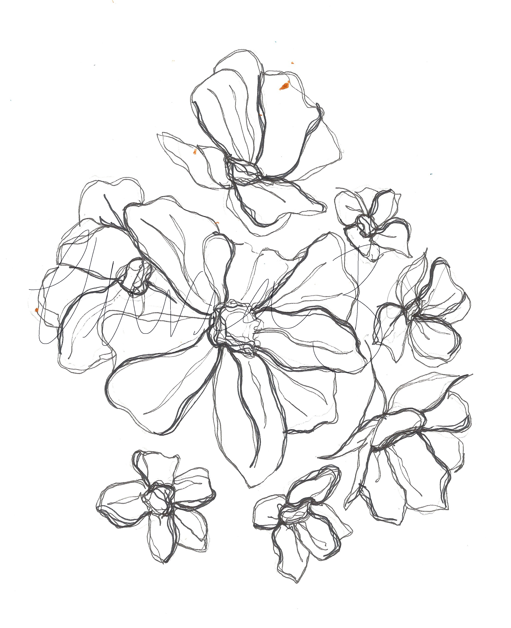 2164x2659 Flower Line Drawing Flower Power Sketchbooks