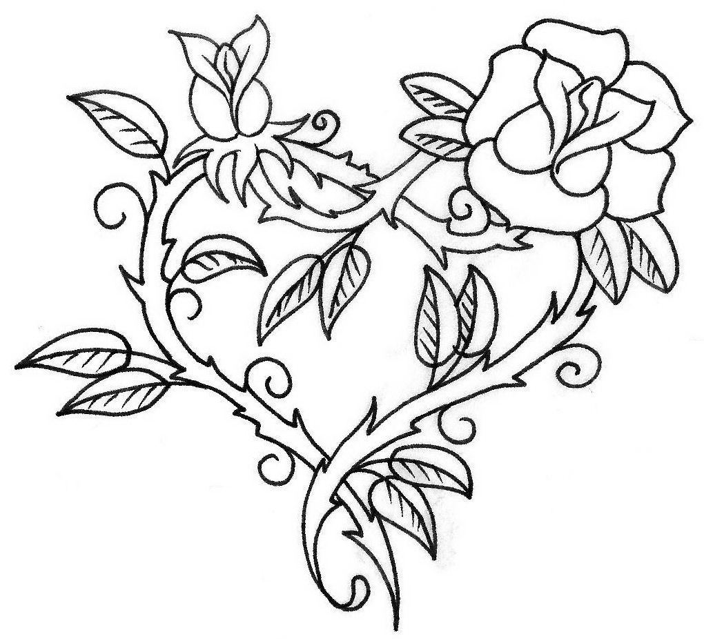 1020x926 Rose Flower Picture Drawing Rose Flowers Images For Drawing Rose