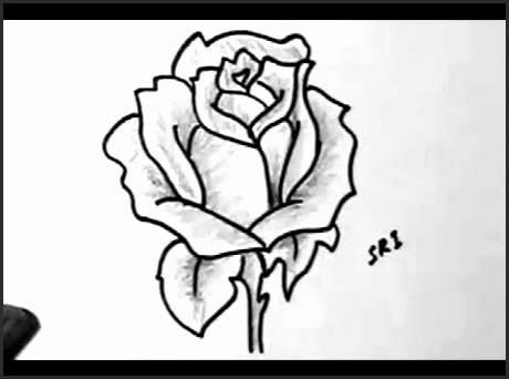 460x342 Easy Flower Sketches Cg2ry Beautiful How To Draw A Rose Flower