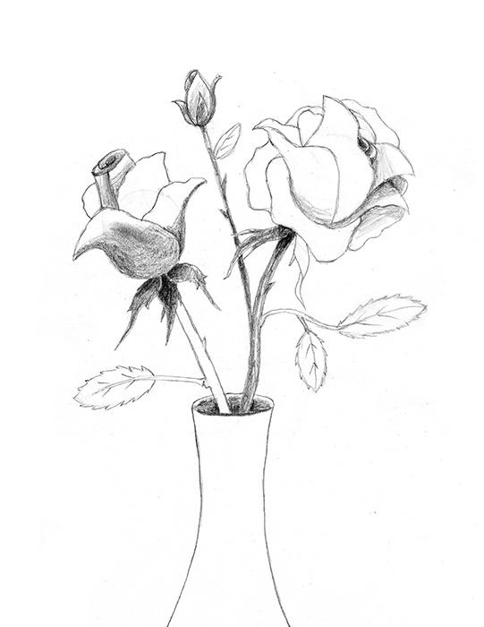 541x700 How To Draw A Rose Lovetoknow