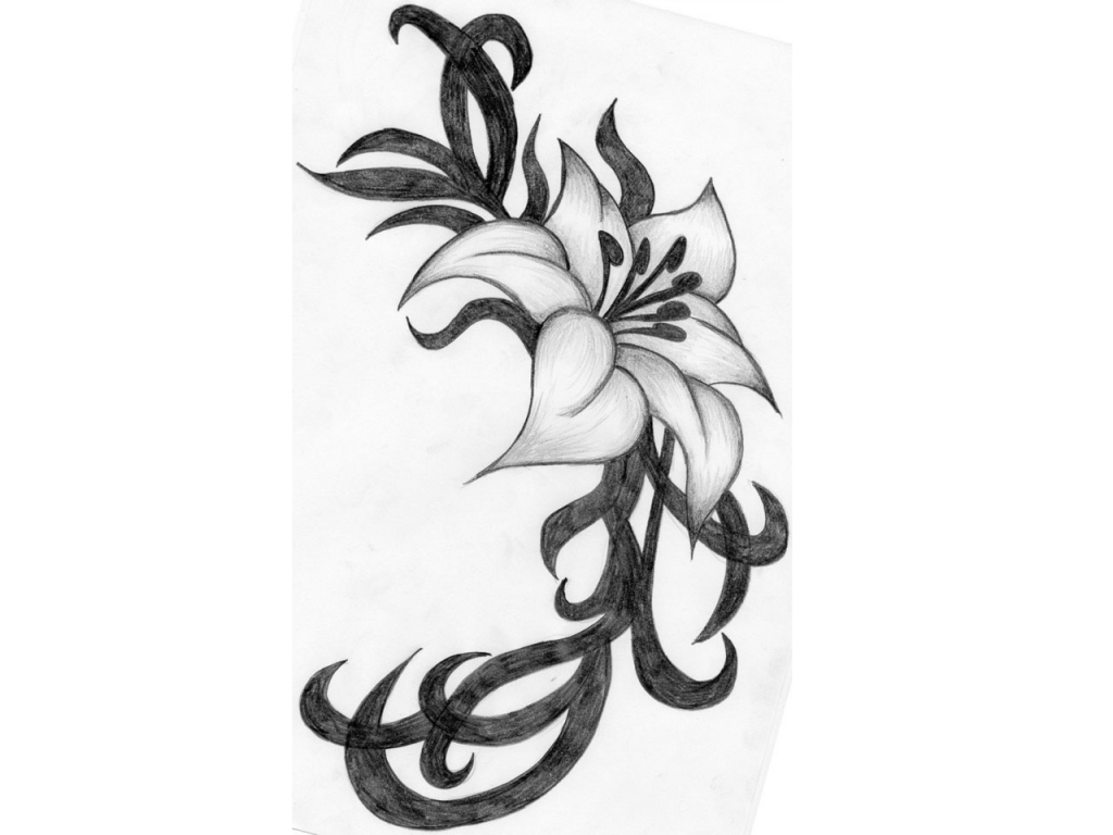 1024x768 Pencil Drawings Of Flowers. Flower Sketches In Pencil Pencil