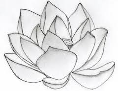 240x186 Resultado De Imagem Para Easy Pencil Shading Flowers Tattoo