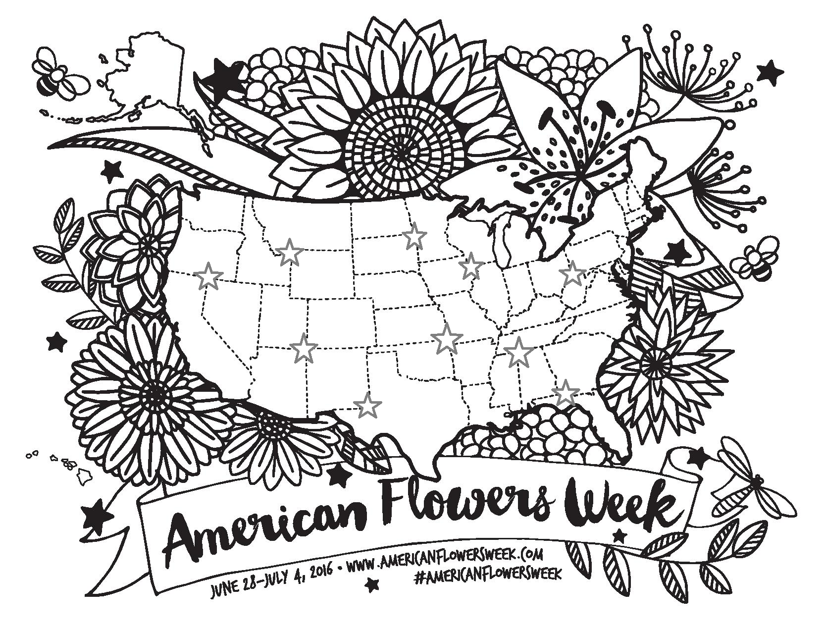 1662x1274 June 2016 American Flowers Week