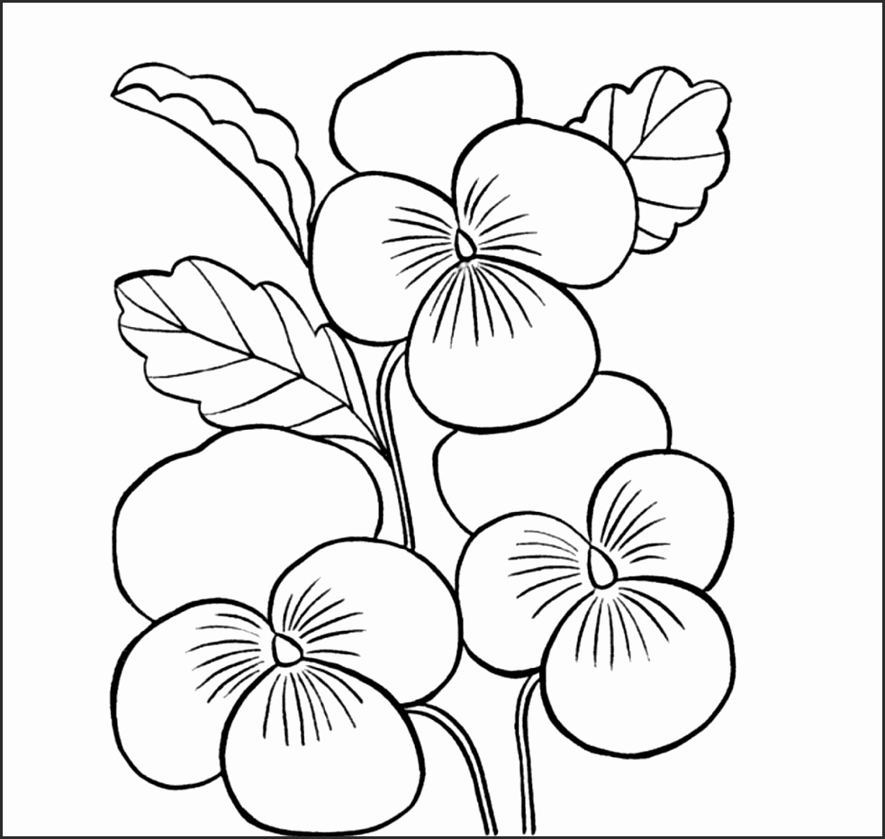 Flower Simple Drawing