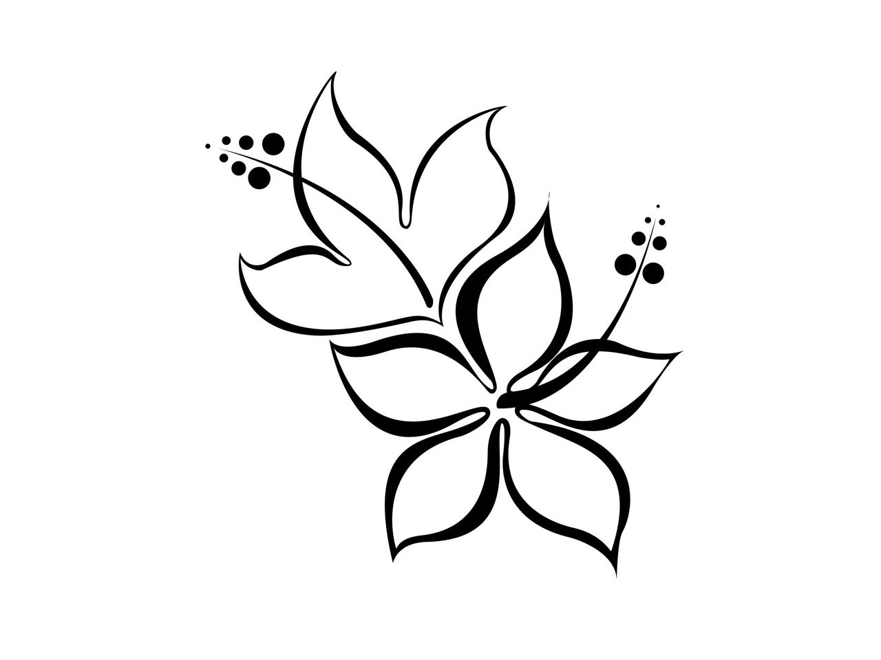 1280x960 Drawing A Simple Flower Simple Flower Drawing Ideas Draw Easy