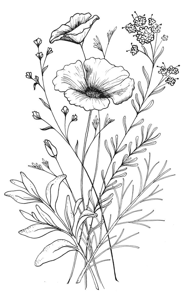 Flower Sketch Drawing