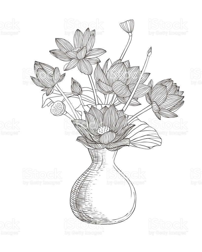 820x1024 Lotus Flower Vase Drawing