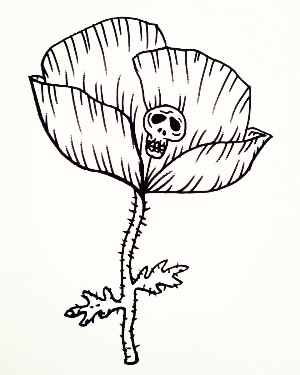 960x1200 Salima Arbani On Twitter Flower Skull