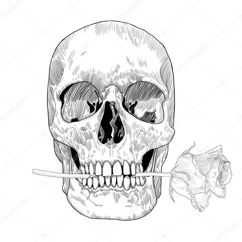1024x1024 Vintage Greeting Card With Hand Drawn Skull And Flowers On Beige