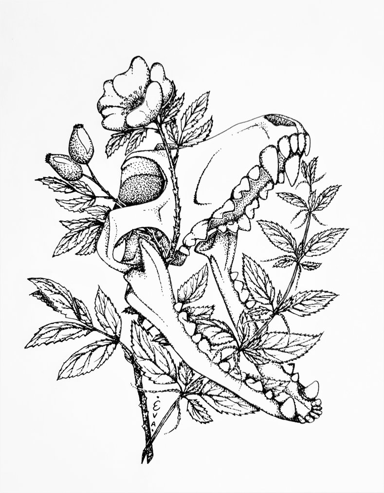 789x1012 Wolf Skull With Flowers By Devilishevelyn