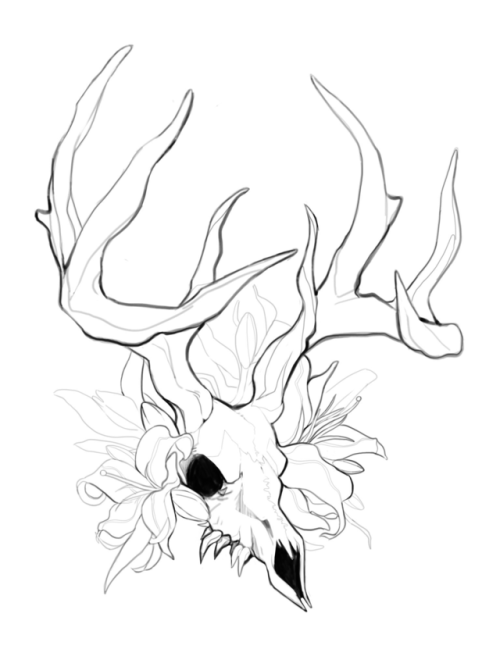 500x667 Deer Skull And Flowers Tumblr