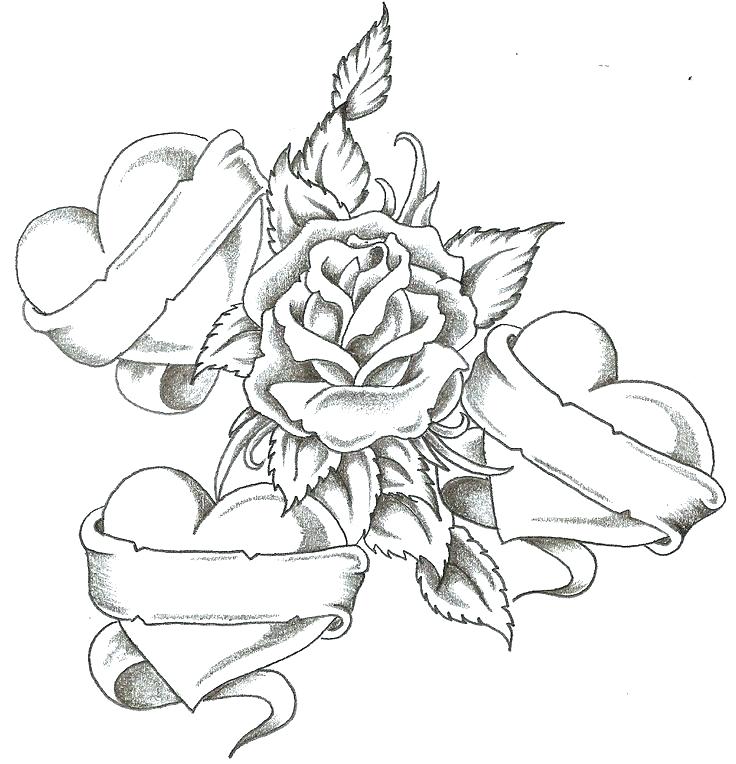 736x764 Coloring Pages Roses And Hearts Skulls And Roses Coloring Pages