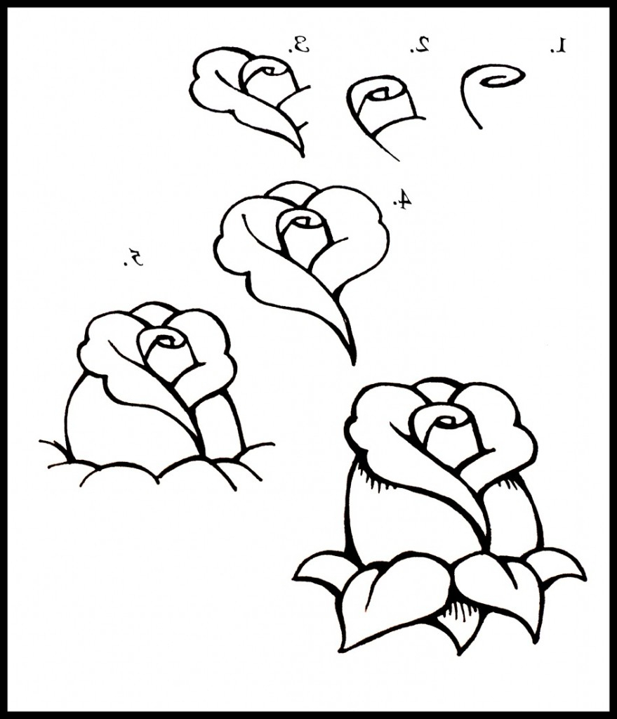 879x1024 Drawing Bouquet Of Flowers Step By Step Hoontoidly Rose Drawings