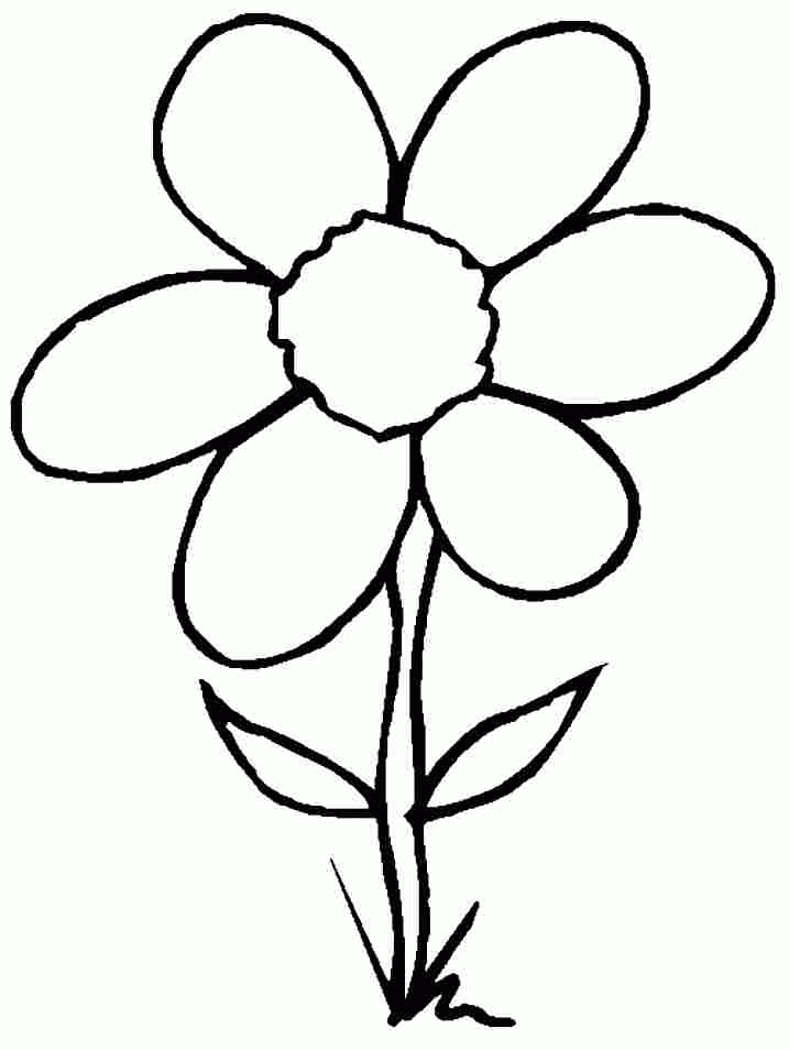 717x954 Flowers For Kids To Draw