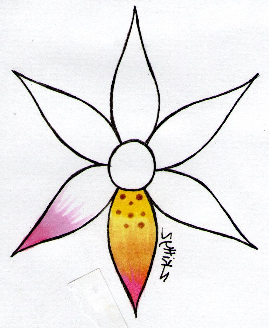 885x1076 Pictures Of Flowers Easy To Draw