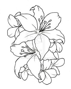 236x295 Flowers Tattoo 35 Flower Drawings, Flower Tattoos And Tatto