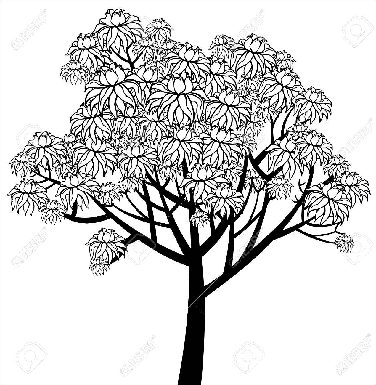 1270x1300 Vector Graphical Drawing Of Young Flowering Tree Royalty Free