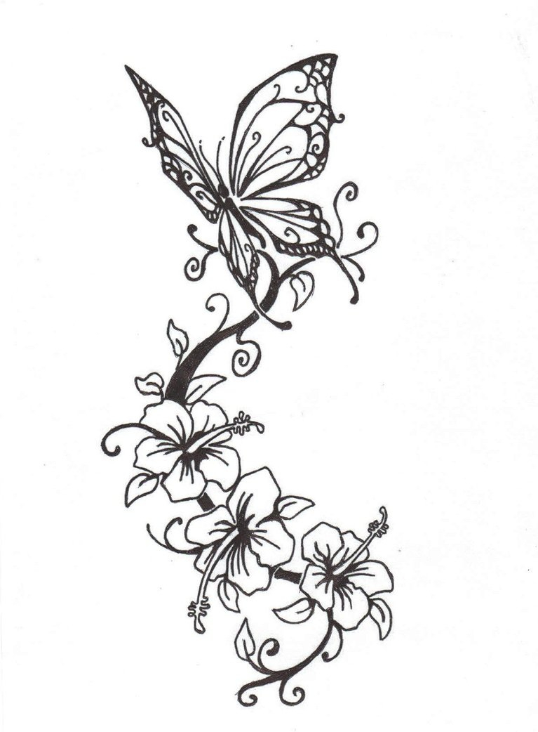 767x1042 Drawings Of Butterflies And Roses Pencil Sketches Of Butterflies