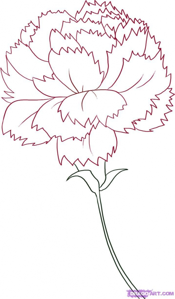 601x1024 Flower Tutorial Drawing 1000 Ideas About Flower Drawing Tutorials