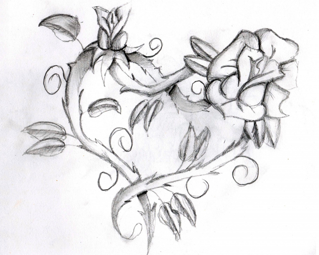 1024x819 Drawings Flowers Hearts Amazing Easy Rose Drawing With A Heart