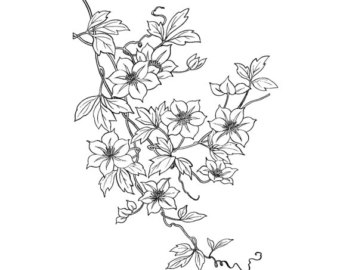 Flower Vine Drawing at GetDrawings.com | Free for personal use Flower