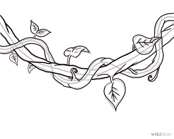 670x536 Draw A Jungle Vine Draw, Doodles And Sketches