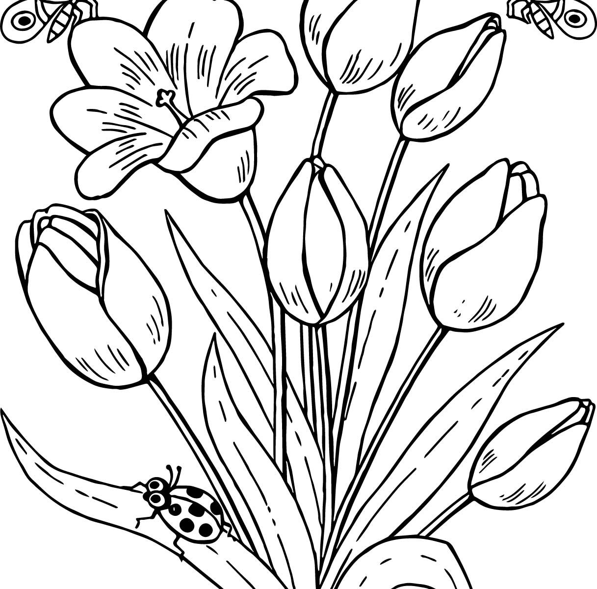 1217x1200 Butterfly On Flower Coloring Page Free Printable Butterflies