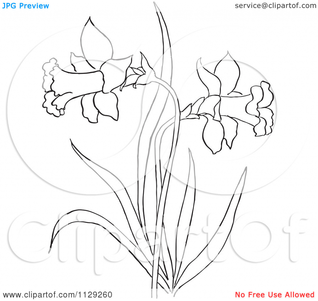 1024x970 Flowering Plants Drawing 27 Tips For Drawing Flowers Plants Amp