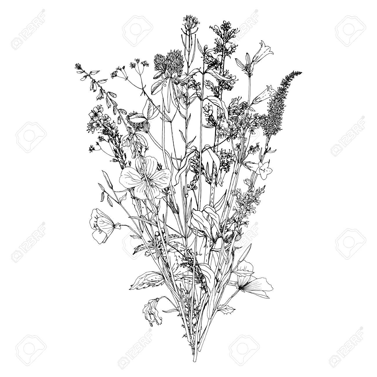 1300x1300 Vector Bouquet With Drawing Wild Plants, Herbs And Flowers