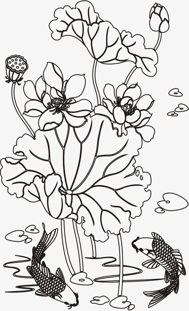 650x1065 Draw Lotus And Carp Quickly, Flowers And Plants, Lotus, Lotus Leaf
