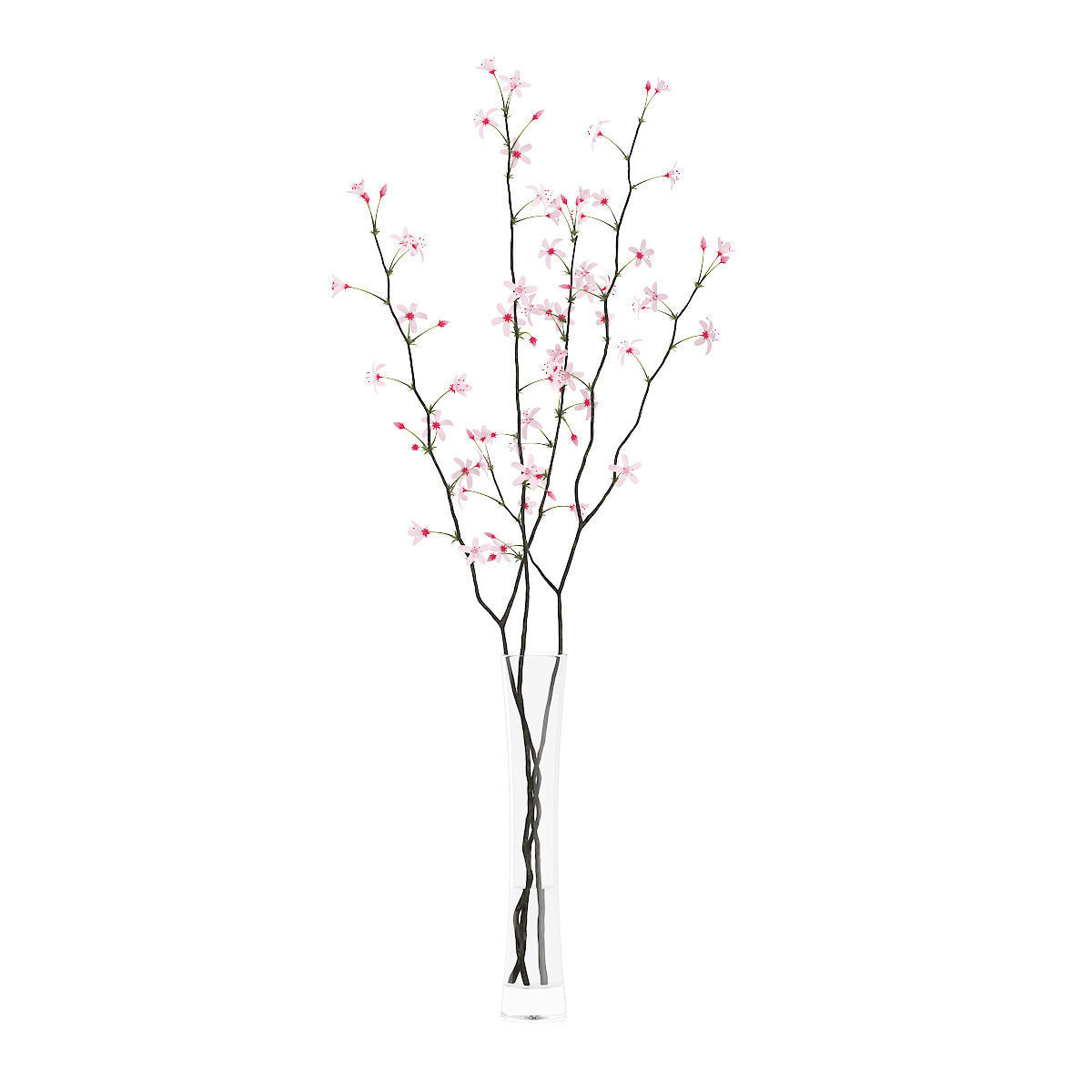 1200x1200 Flowering Tree Twigs In Glass Vase 3d Cgtrader
