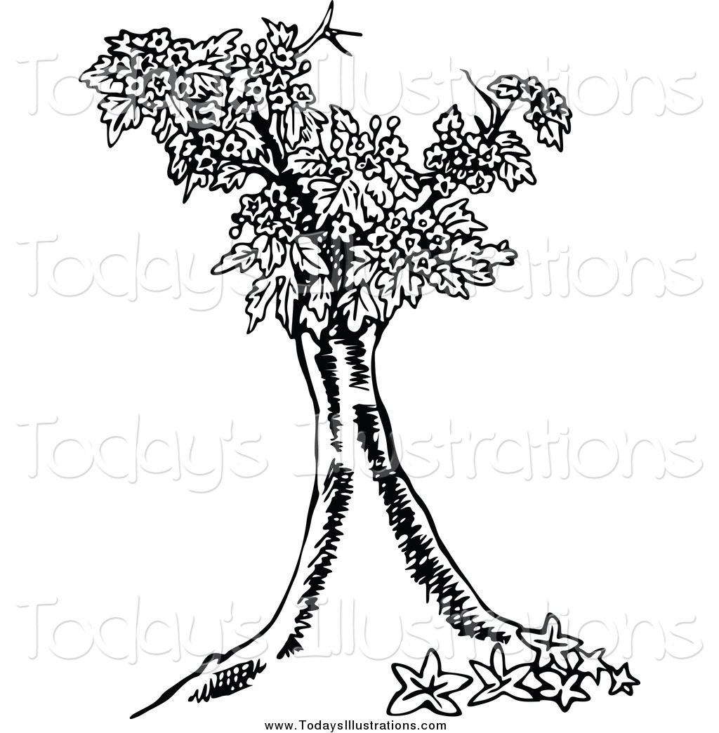 1024x1044 Clipart Of A Black And White Flowering Tree By Prawny