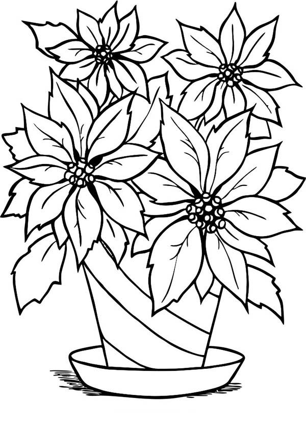 600x826 Poinsettia In Flowerpot Coloring Page Color Luna