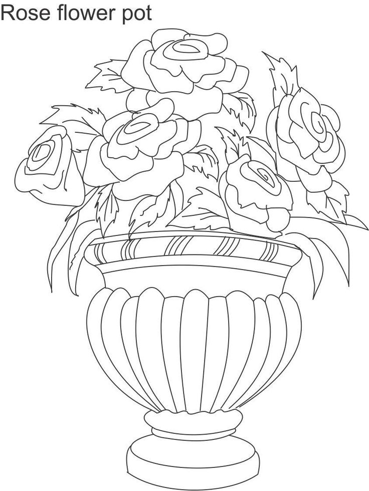 736x980 Pots With Roses Drawings