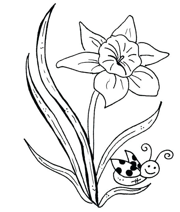 580x682 Free Coloring Pages Flowers Butterflies Flowers