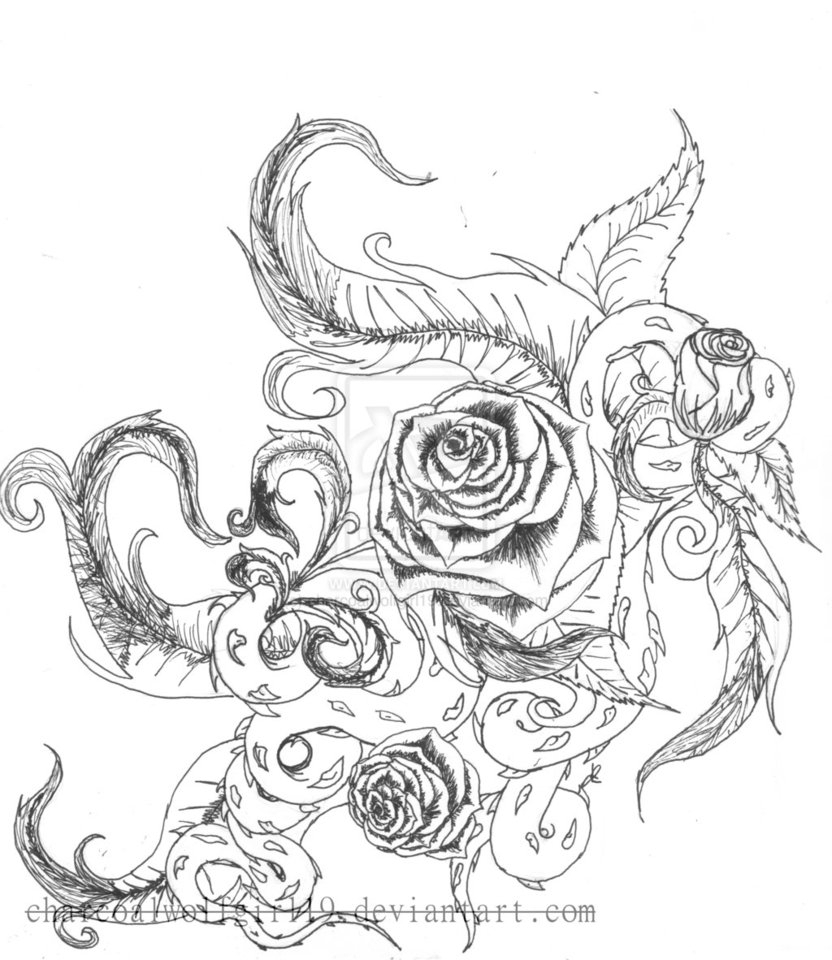 832x960 Rose Drawings With Vines Drawings Of Flowers Leaves And Vines