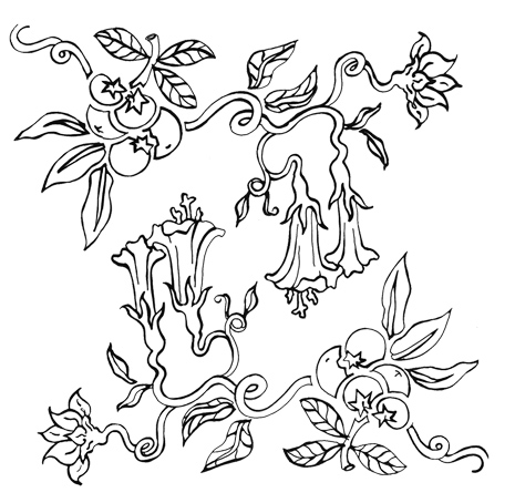 465x454 Drawing From Then Till Now Collectabilly