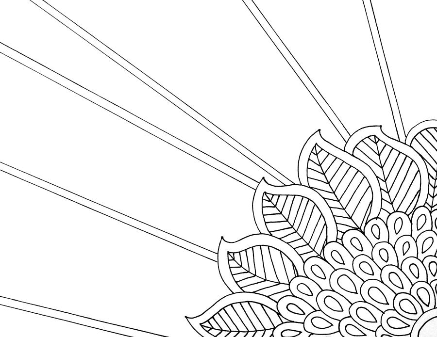 900x695 Doodle Black White Flower Illustration Drawing By Aboli Salunkhe