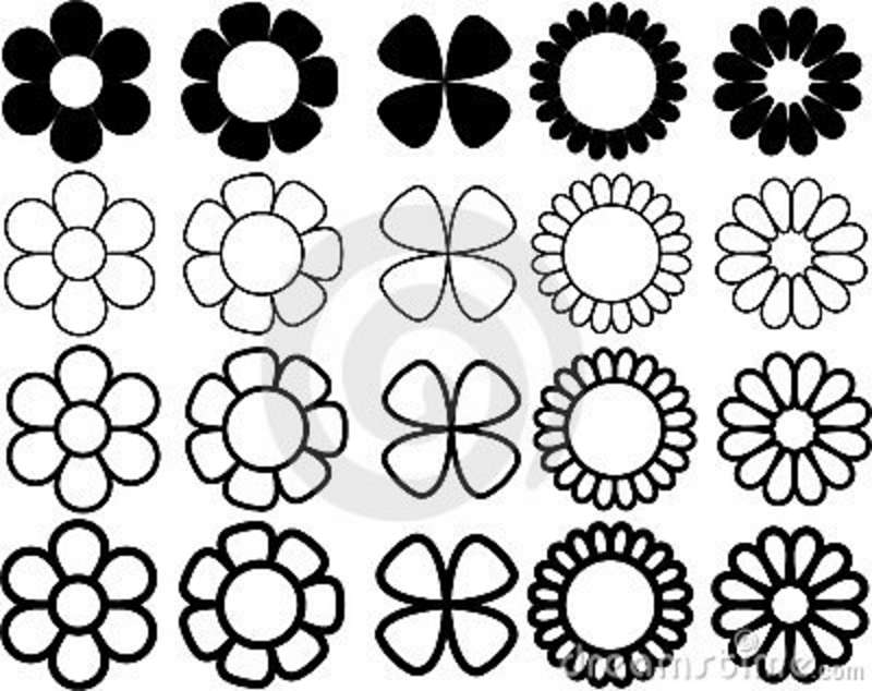 800x634 Flowers Black And White Drawing