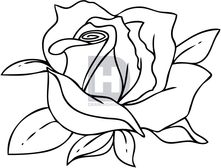 743x567 Drawing How To Draw A Flowers Bouquet Together With How To Draw