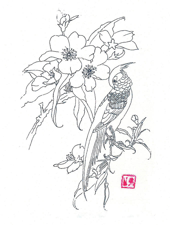 680x900 Pictures Bird And Flower Drawing,