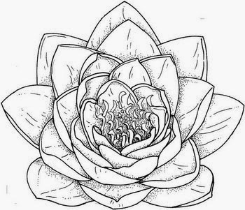 350x301 Flower Drawing