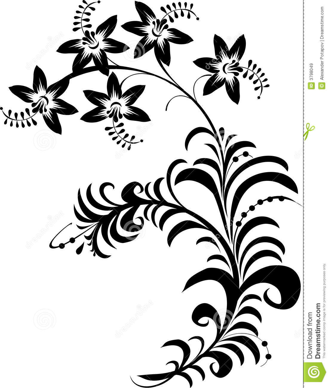 1105x1300 Black And White Flowers Drawings Black And White Flowers