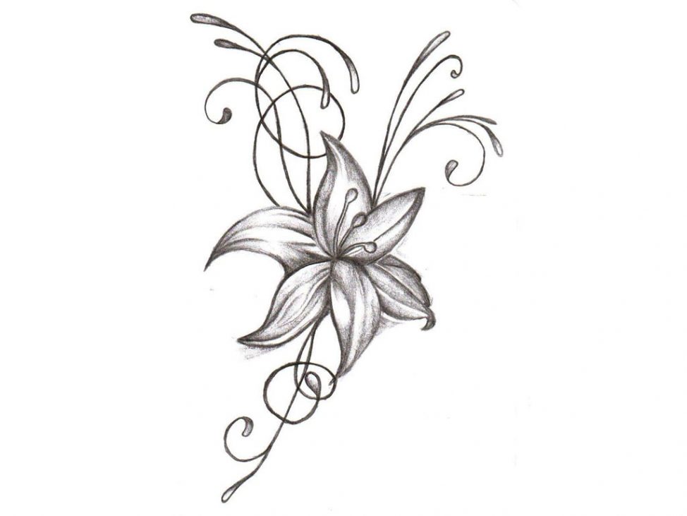 974x731 Coloring Pages Flower Drawing Designs Drawings Pencil Coloring