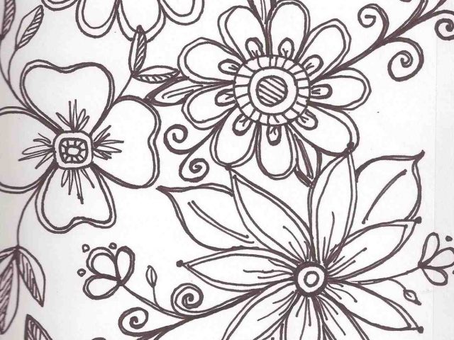 640x480 The Images Collection Of Of Flowers Enables Us To Find Ourselves